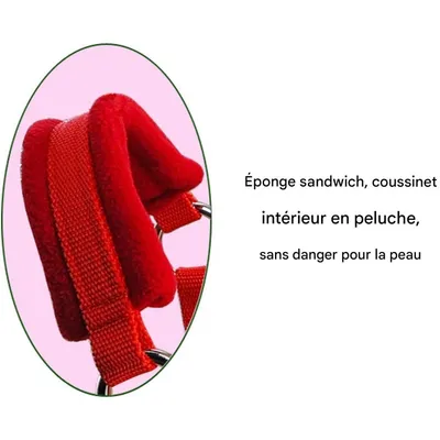 ZooVenture Licol Réglable Pour Chevaux