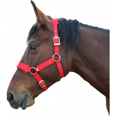 ZooVenture Licol Réglable Pour Chevaux