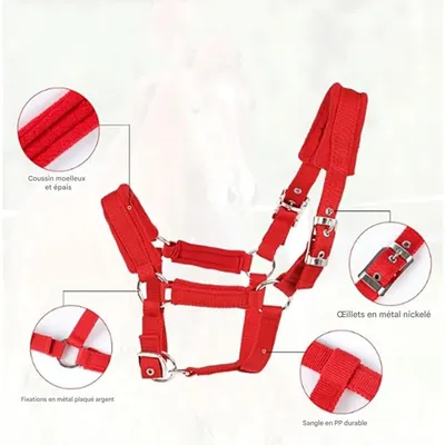 ZooVenture Licol Réglable Pour Chevaux