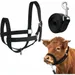 ZooVenture Licol Réglable Avec Corde De Plomb Pour Cheval Âne Poulain