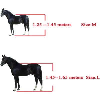 ZooVenture Licol De Cheval En Corde Avec Boucle Alliage Résistante Au Froid