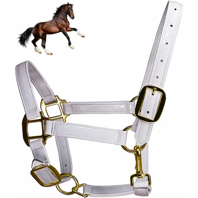 ZooVenture Cabezada de cuerda para caballo con hebilla de aleación al frío