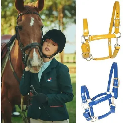 ZooVenture Cabezada de cuerda para caballo con hebilla de aleación al frío