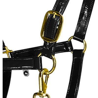 ZooVenture Licol De Cheval En Corde Avec Boucle Alliage Résistante Au Froid