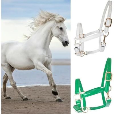 ZooVenture Licol De Cheval En Corde Avec Boucle Alliage Résistante Au Froid