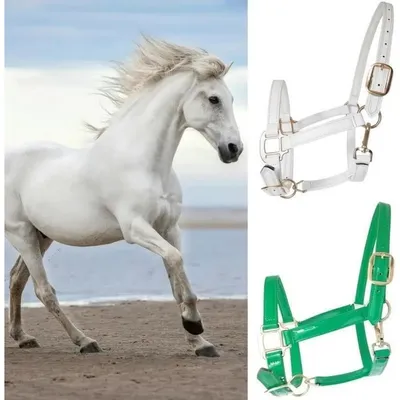 ZooVenture Cabezada de cuerda para caballo con hebilla de aleación al frío