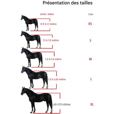 ZooVenture Licol Réglable Pour Chevaux