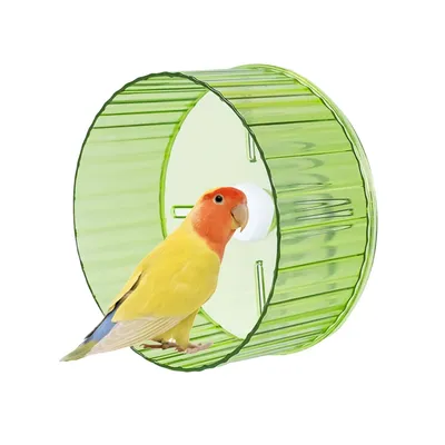 FurryFusion Roue d'exercice pour perroquets FurryFusion Roue d'exercice pour perroquets