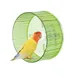 FurryFusion Roue d'exercice pour perroquets