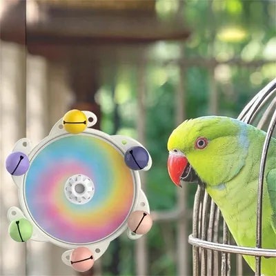 IntiMeg El divertido juguete giratorio para loros