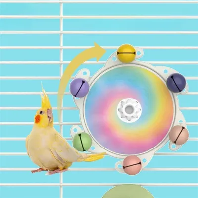 IntiMeg El divertido juguete giratorio para loros