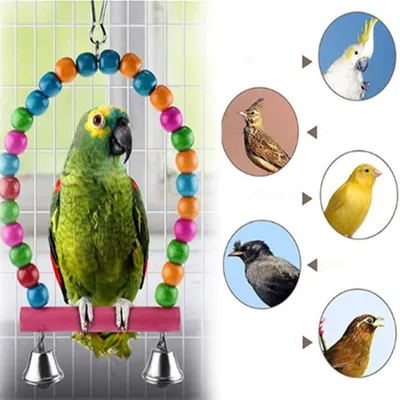 IntiMeg Ensemble de 6 jouets colorés pour oiseaux