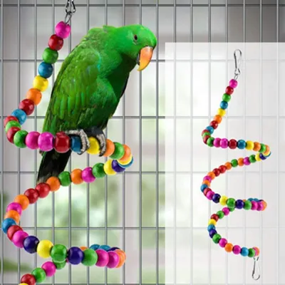 IntiMeg Ensemble de 6 jouets colorés pour oiseaux