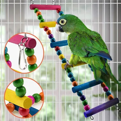 IntiMeg Ensemble de 6 jouets colorés pour oiseaux