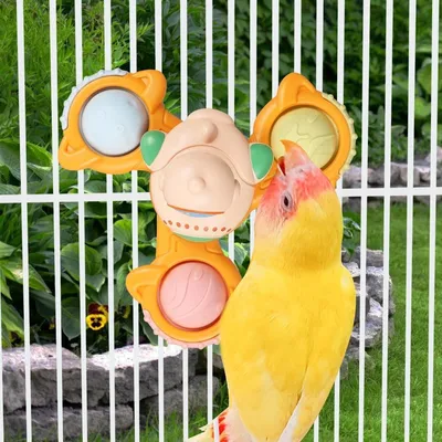 ZenPets Jouet en forme de roue pour oiseaux