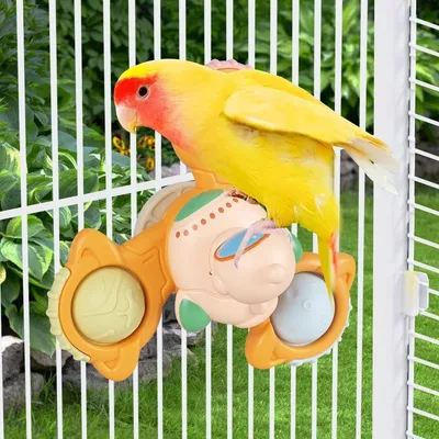 ZenPets Jouet en forme de roue pour oiseaux