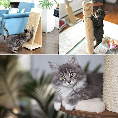 UAMLY Corde pour griffoir à chat, corde en sisal