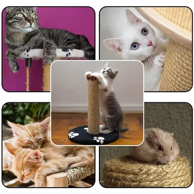 UAMLY Corde pour griffoir à chat, corde en sisal