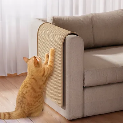 ZenPets Tapis d'encouragement à griffer pour chat