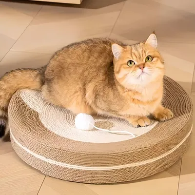 FurryFusion Planche à gratter pour chat 2 en 1