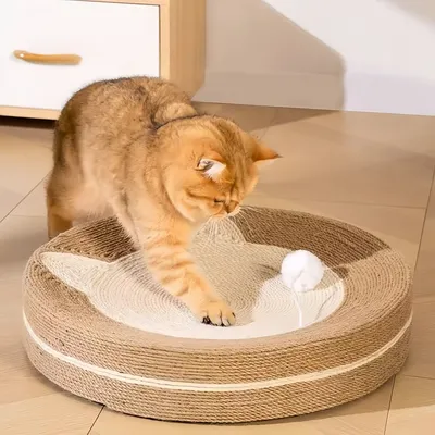 FurryFusion Planche à gratter pour chat 2 en 1