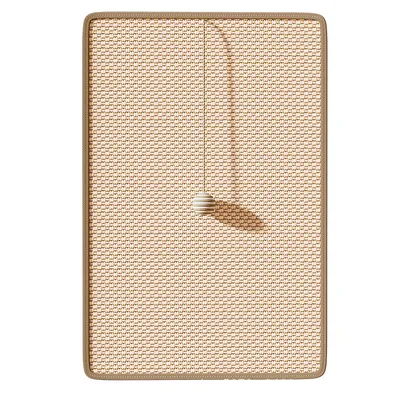 ZenPets Tapis d'encouragement à griffer pour chat ZenPets Tapis d'encouragement à griffer pour chat