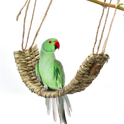 Pet Planet Balançoire et plateforme pour perroquets