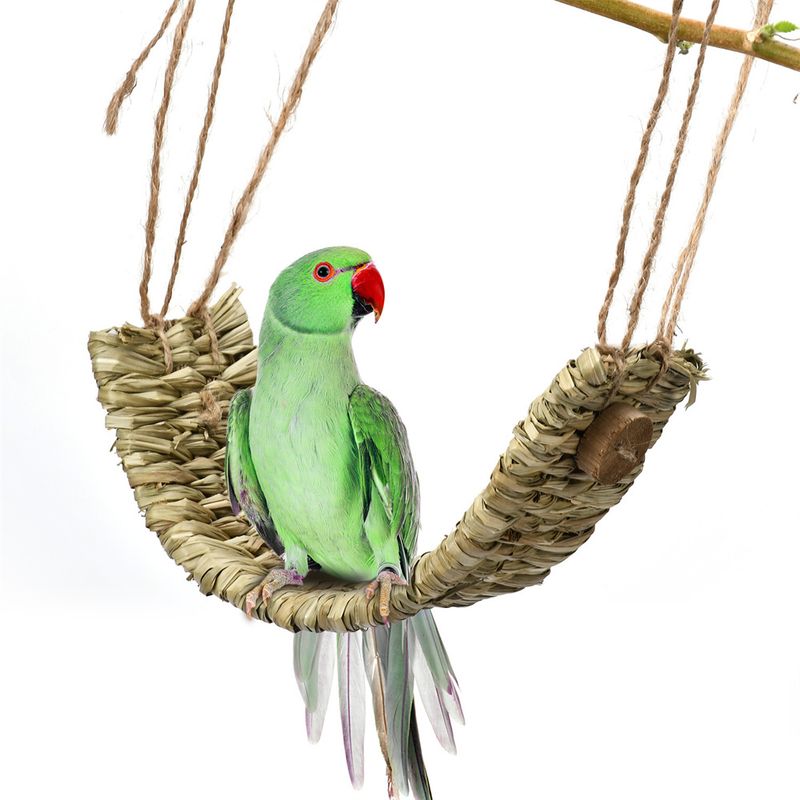 Pet Planet Balançoire et plateforme pour perroquets