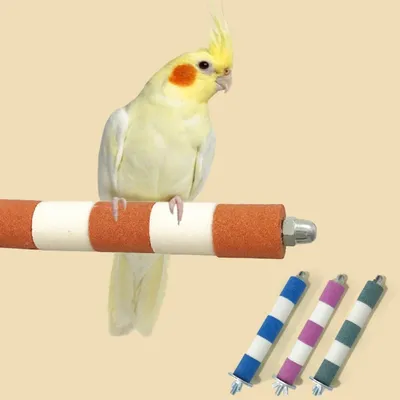 ZooVenture Lot De 4 Barres En Bois Naturel Accessoire De Cage Pour Oiseaux ZooVenture Lot De 4 Barres En Bois Naturel Accessoire De Cage Pour Oiseaux