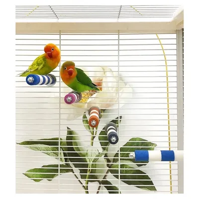 ZooVenture Lot De 4 Barres En Bois Naturel Accessoire De Cage Pour Oiseaux ZooVenture Lot De 4 Barres En Bois Naturel Accessoire De Cage Pour Oiseaux