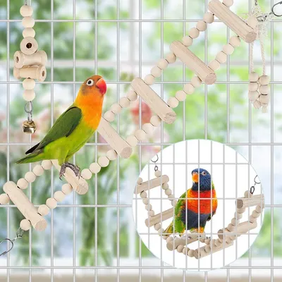 UAMLY Jouets à mâcher pour perroquets