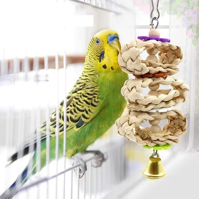 UAMLY Jouets à mâcher pour perroquets