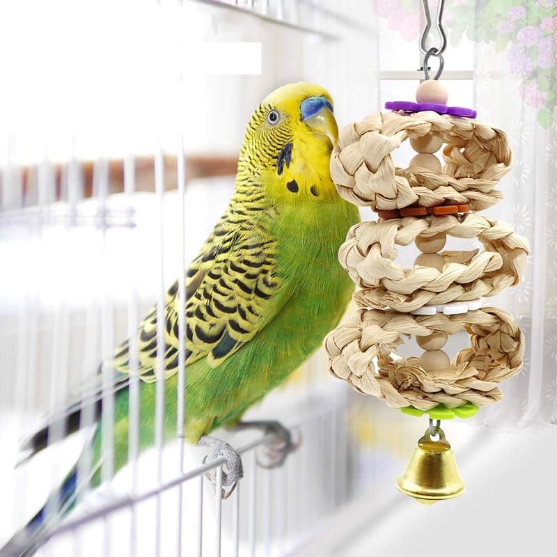 UAMLY Jouets à mâcher pour perroquets