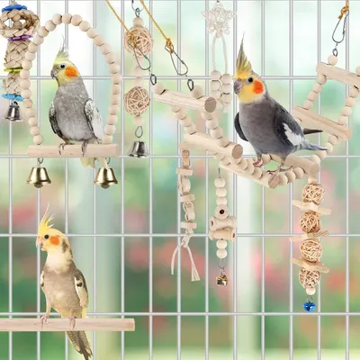 UAMLY Jouets à mâcher pour perroquets