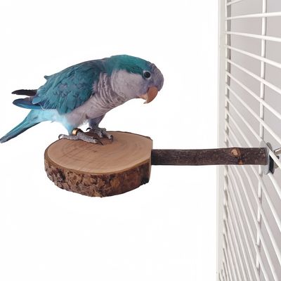 FurryFusion Support en bois pour perchoir à oiseaux