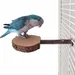 FurryFusion Support en bois pour perchoir à oiseaux