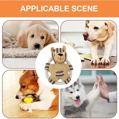 Pet Planet FunPack Six Jouets Pour Chien Pour Chiens