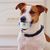 Pet Planet Jouet en Peluche Interactif Respirant à Mâcher Chats et Chiens