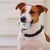 Pet Planet Jouet en Peluche Interactif Respirant à Mâcher Chats et Chiens