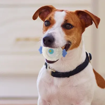 Pet Planet Jouet en Peluche Interactif Respirant à Mâcher Chats et Chiens