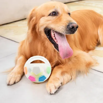 UAMLY Jouet interactif rond pour chien