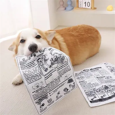 IntiMeg Sonajero con forma de periódico para perros