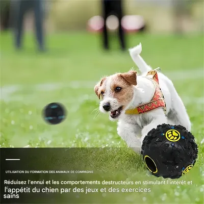 IntiMeg Dispensador de comida para perros tipo bola