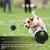 IntiMeg Balle distributeur de croquettes pour chien