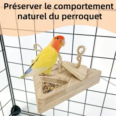 ZooVenture Nourrisseur De Recherche De Nourriture En Bois Pour Oiseaux
