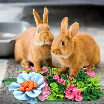 IntiMeg Tapis de fouissage interactif pour petits animaux