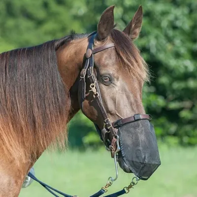 ZenPets Masque anti-mouches pour cheval ZenPets Masque anti-mouches pour cheval