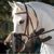 ZenPets Masque anti-mouches pour cheval