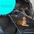 FurryFusion Tapis de coffre de voiture pour animaux de compagnie