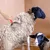 ZooVenture Grattoir Pour Cheval Anti - Démangeaisons Et À Sueur ZooVenture Grattoir Pour Cheval Anti - Démangeaisons Et À Sueur